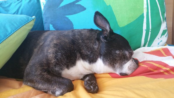 March2018 (8)