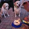 Sept 2024 (60)