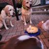 Sept 2024 (61)