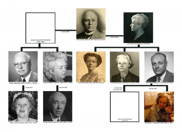 AMM SR family tree copy